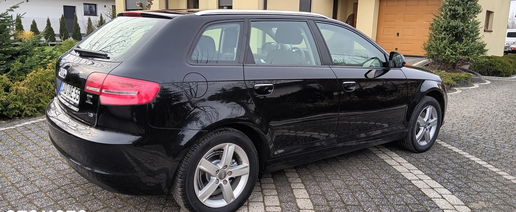 Audi A3 cena 25900 przebieg: 197258, rok produkcji 2009 z Kętrzyn małe 301